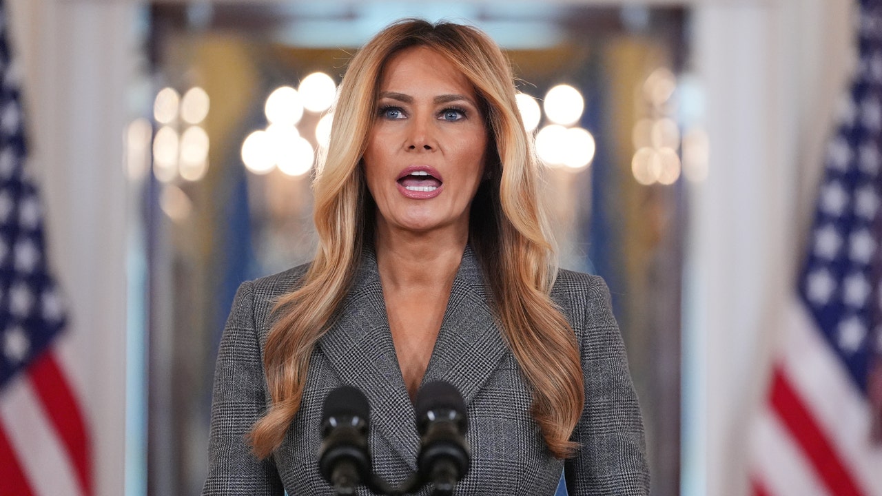 Melania Trump's forceful Epstein denial draws bipartisan support from ...