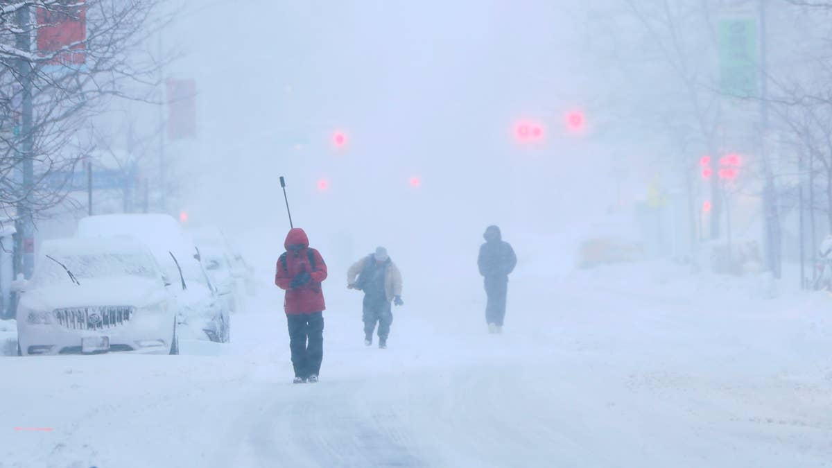 Winter Storm Warning Issued as 20 Inches of Snow, 45 mph Winds Emerge ...