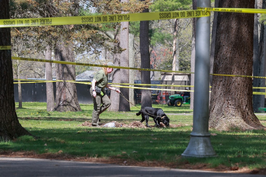 Bloods gang BBQ on Long Island erupts into deadly teen gunfight, police ...
