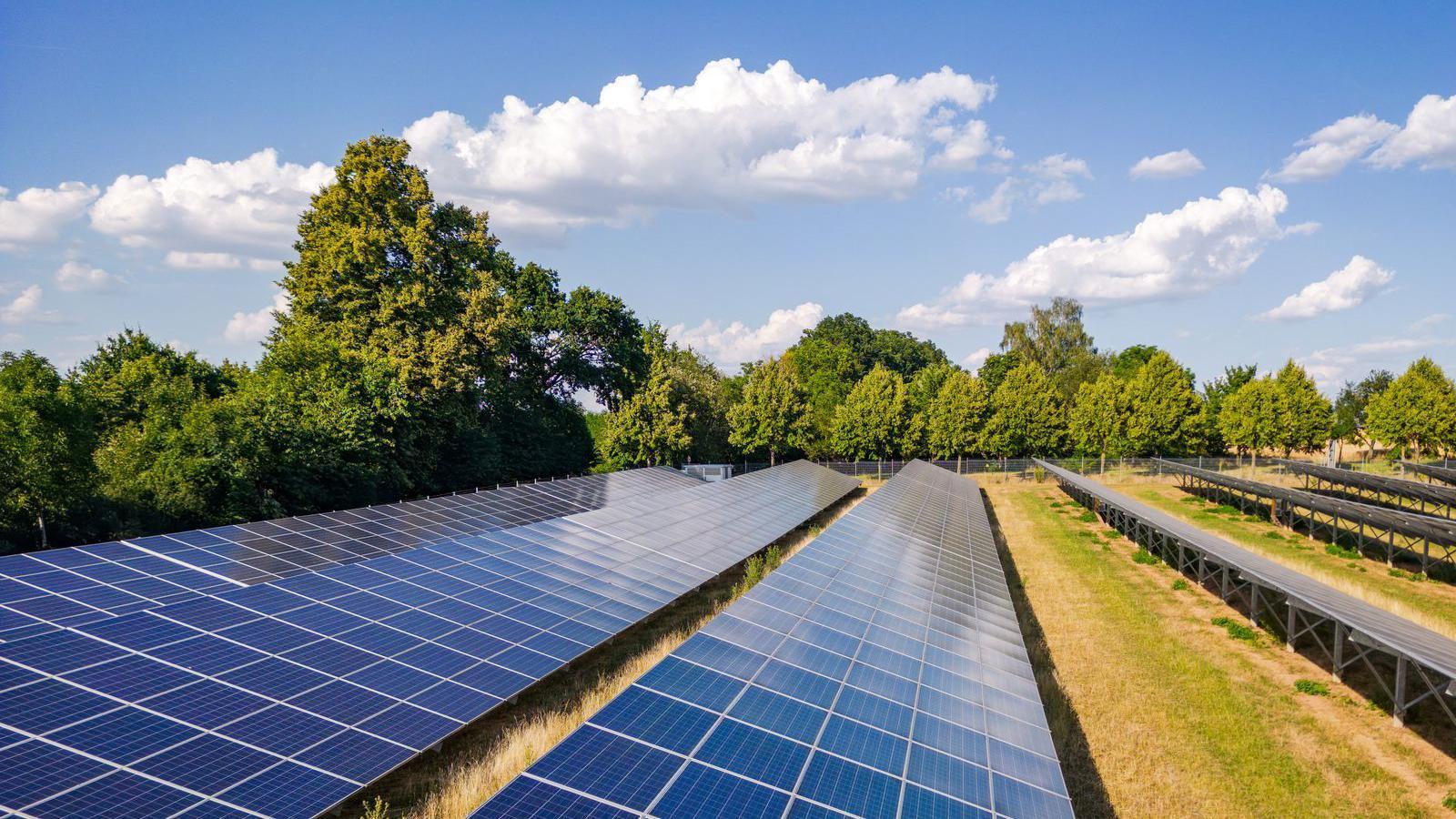 Plan for solar farm near village to be decided - AOL