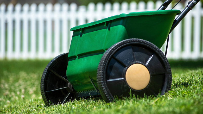 The Best Season To Apply Nitrogen-Rich Fertilizer - AOL