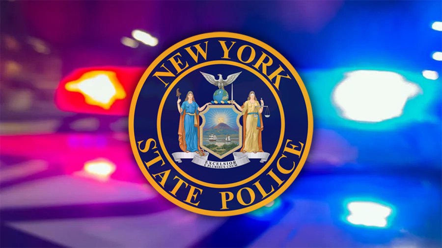 Wayne County woman dies after becoming unresponsive in State Police ...