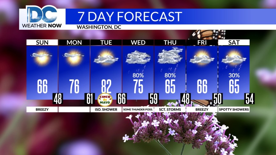 Cool end to weekend, warming up through work week - AOL
