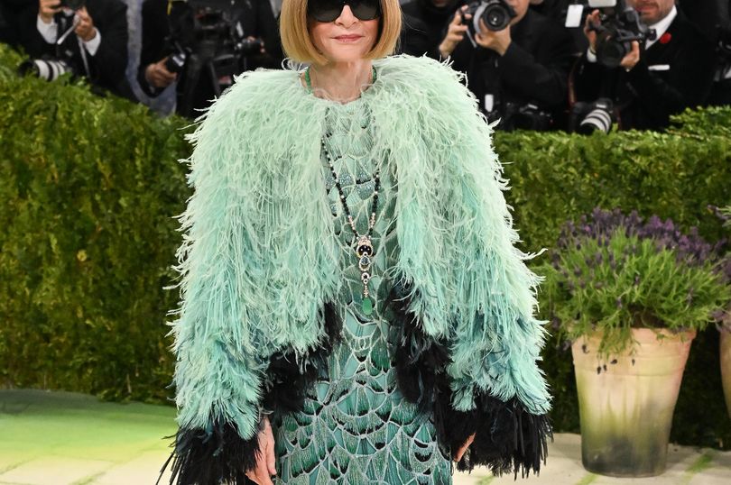 anna wintour green dress branded 'pathetic' as former Vogue editor risks fashion faux pas at Met Gala product-type-Crop Tops