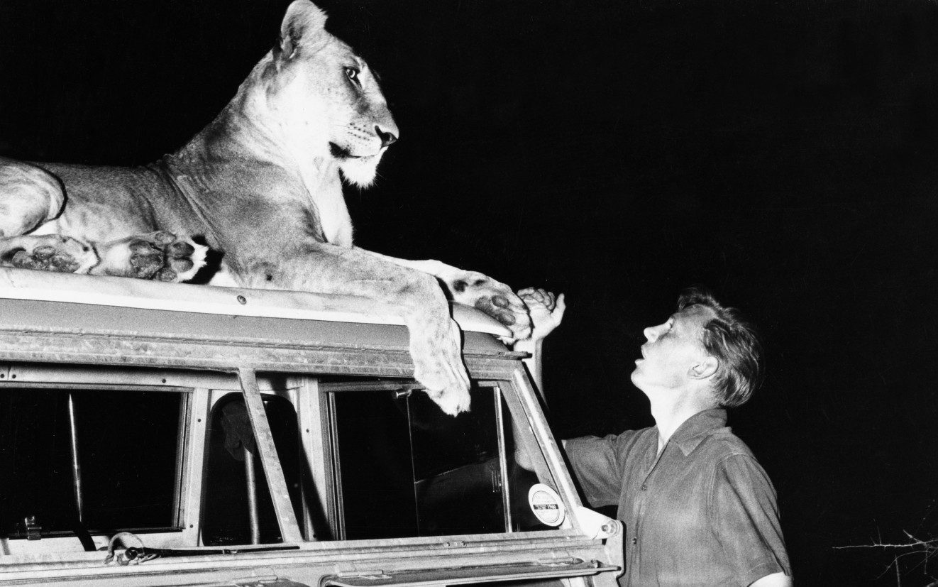 Sir David Attenborough: the landmark moments that changed television - AOL