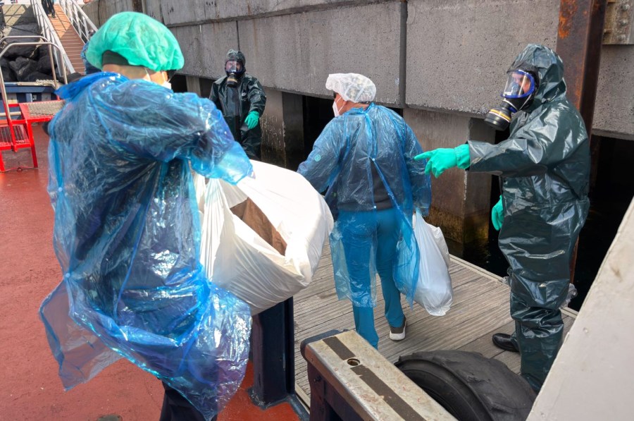 Why hantavirus isn’t the next pandemic, according to health officials - AOL