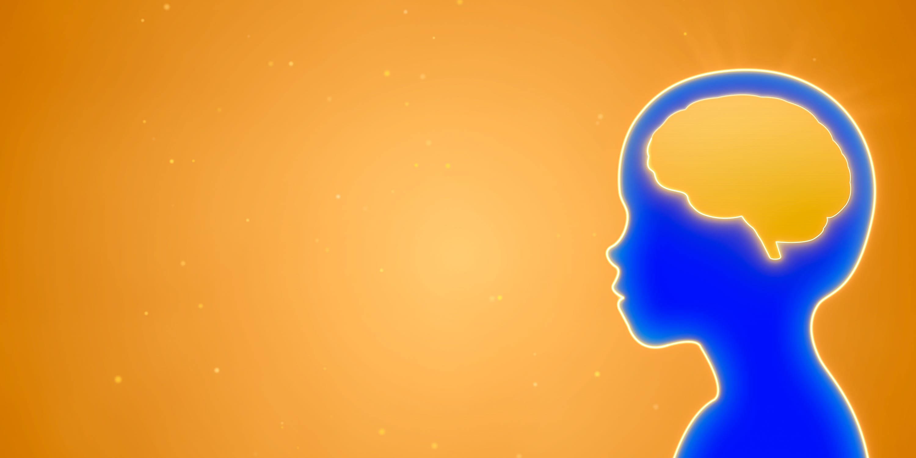 Empty Brain Learning Scientists Discovered Your Brain Wasn’t Empty When You Were Born - AOL