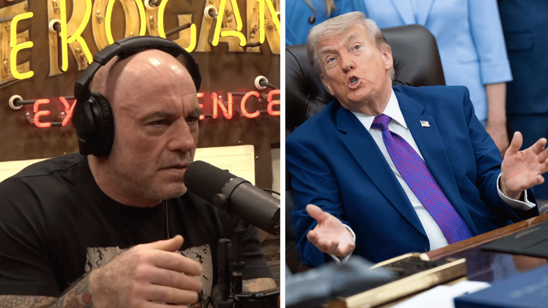 Joe Rogan Shock Joe Rogan Shocked by Number of Americans Who Believe Trump ...