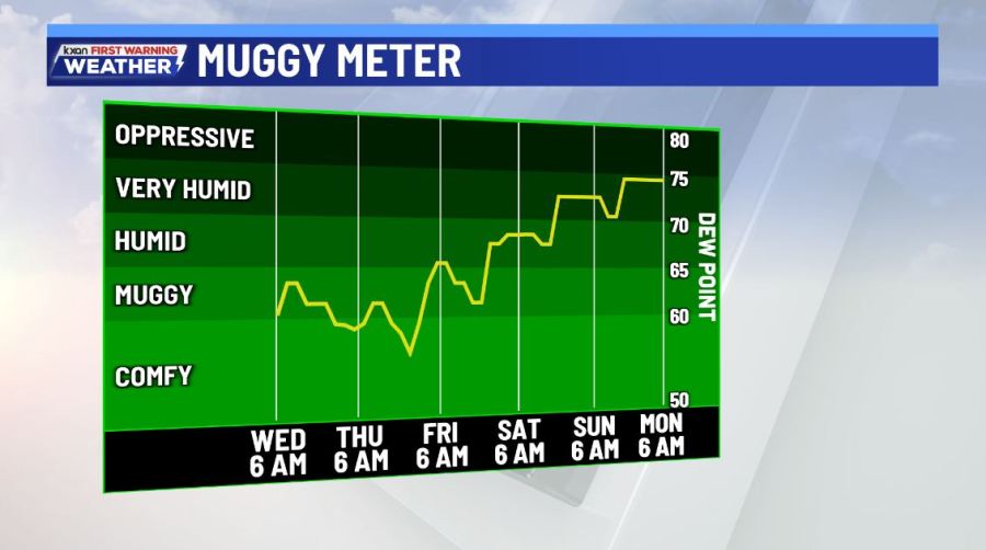 Breezy for the next few days before rain returns - AOL