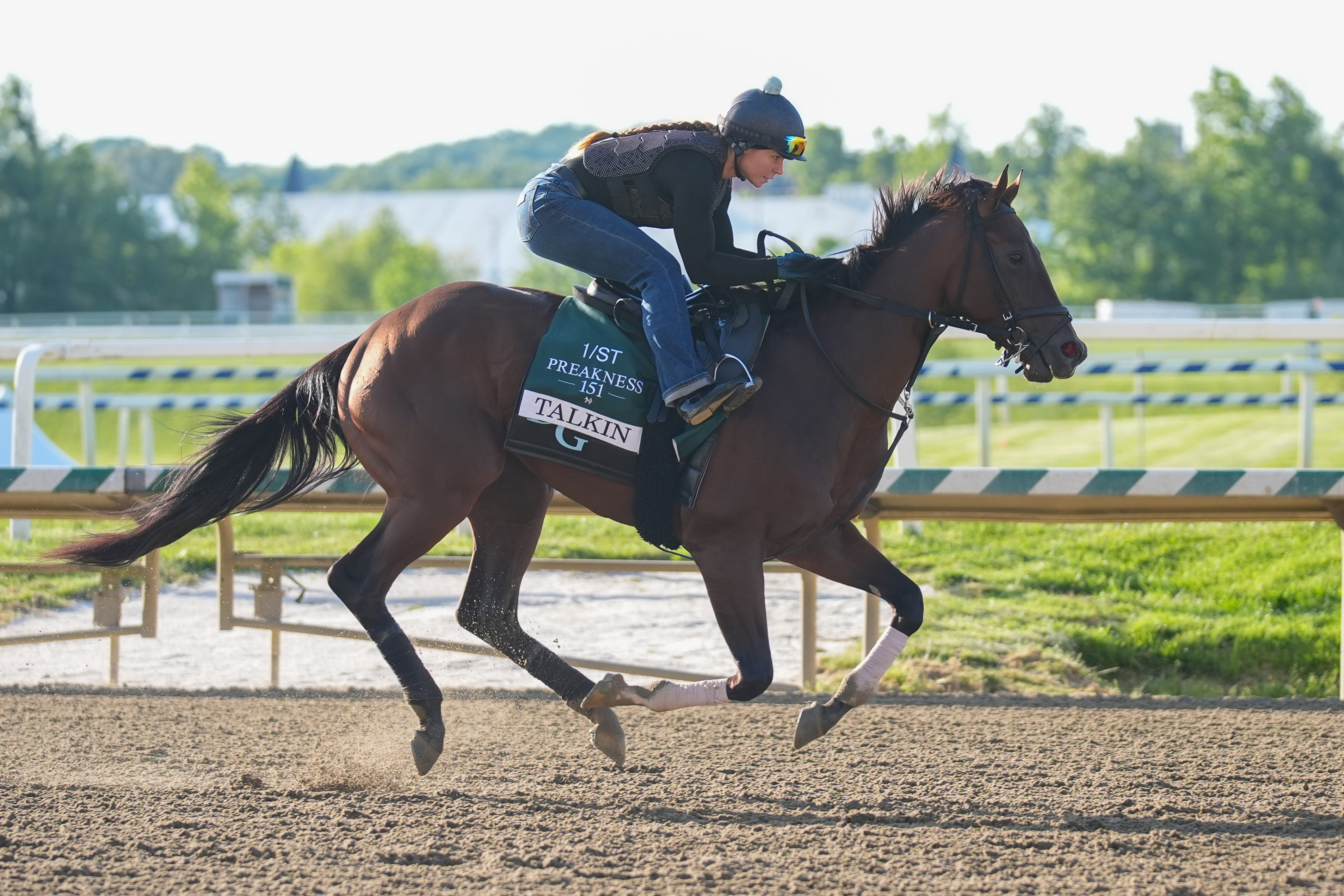 2026 Preakness Stakes picks: Best long-shot bets to win middle jewel of ...