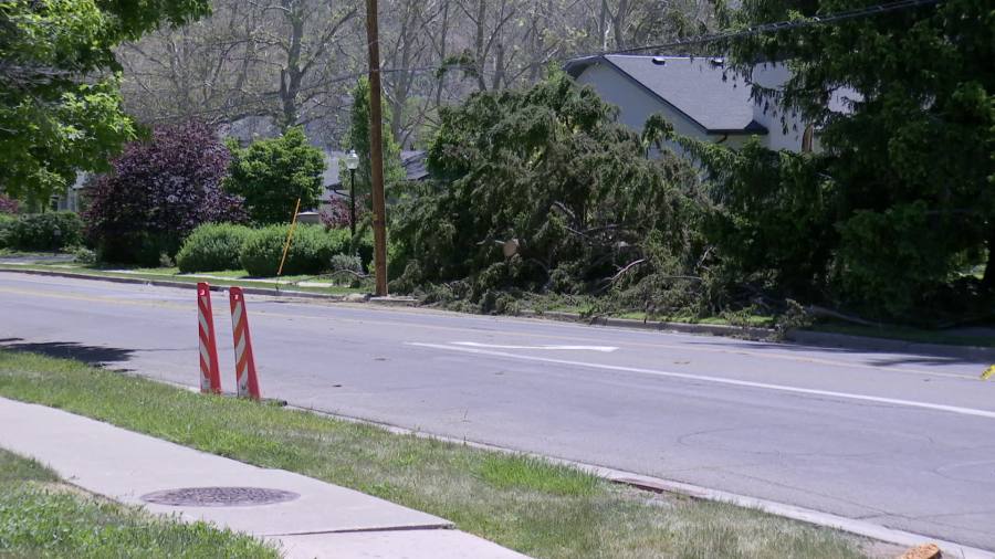Officials speak after extensive wind damage, power outages - AOL