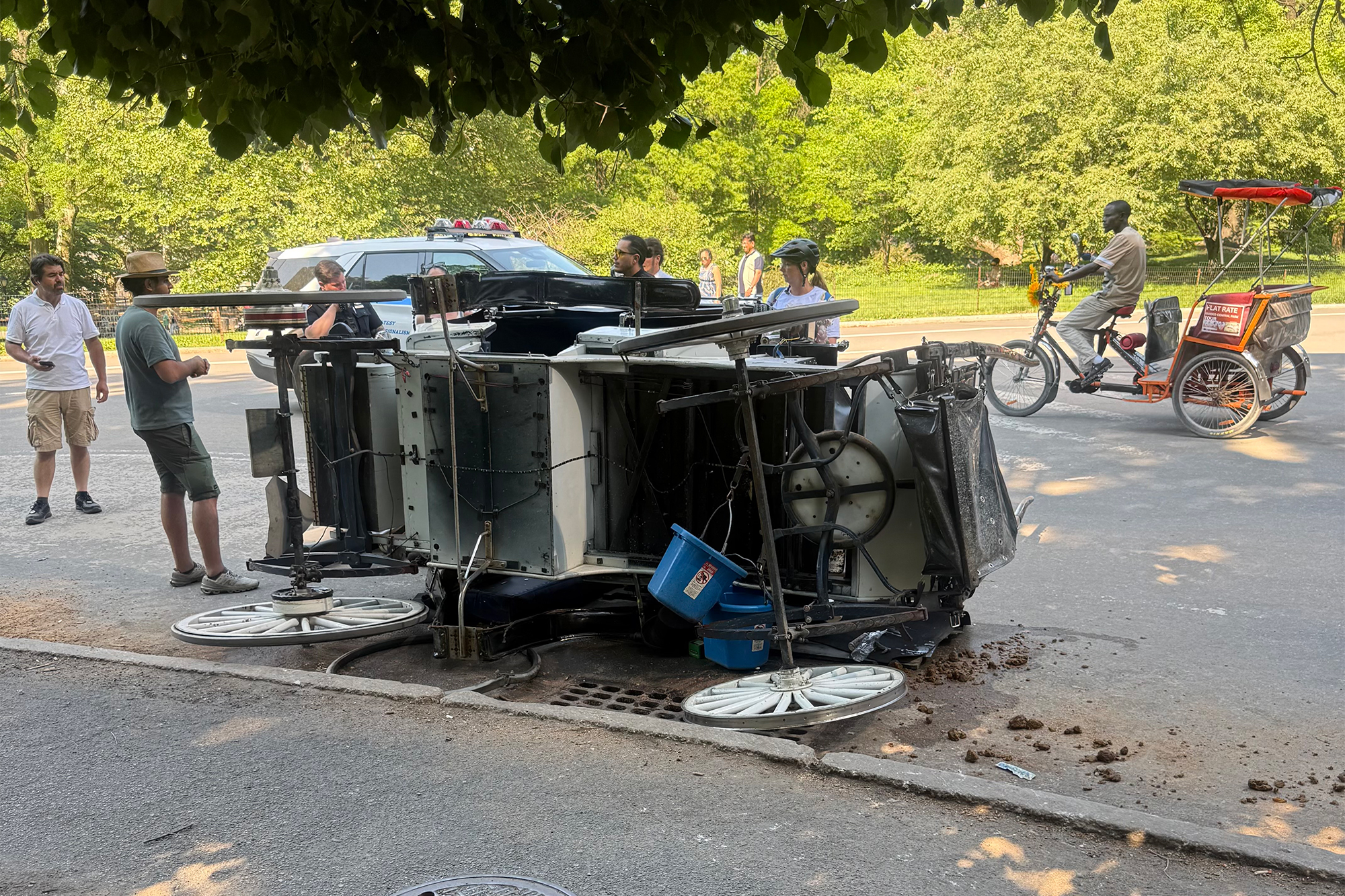 Driver hurt after spooked horse crashes into another carriage in NYC ...