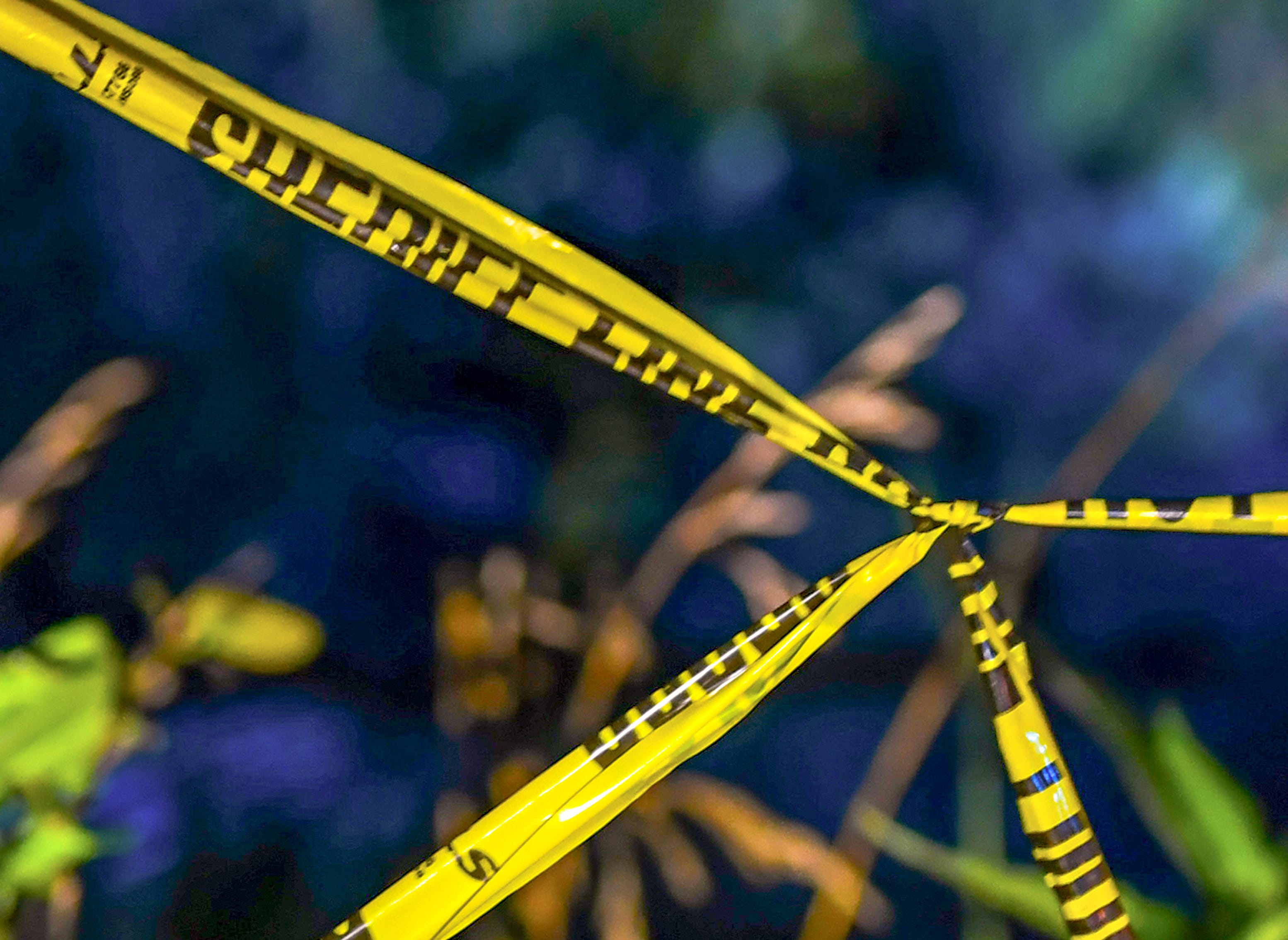 Dog attack incident: Infant killed, adult injured in Anderson - AOL