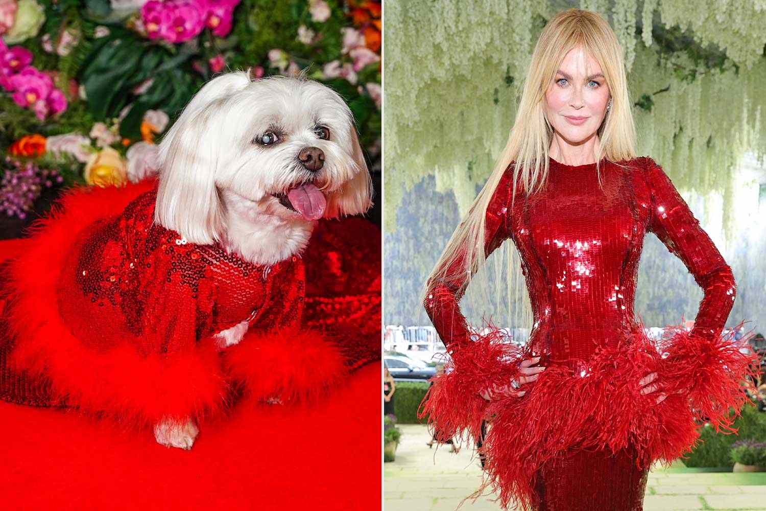 Fashionable Dogs Recreate the 2026 Met Gala's Most Iconic Looks at