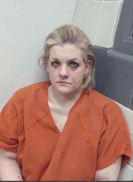 Woman charged after I-64 drug bust in Montgomery County - AOL