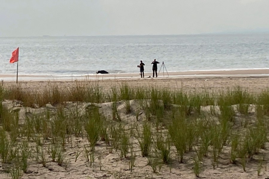 Coney Island mom sentenced for drowning 3 young kids in the ocean ...