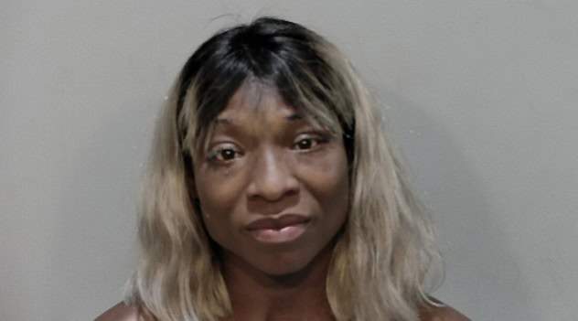 Argument In Florida Ends In Handcuffs After Michigan Woman Pulls 9mm ...