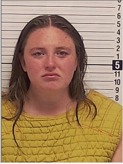 Woman arrested for allegedly leaving dog inside hot car in Panama City ...