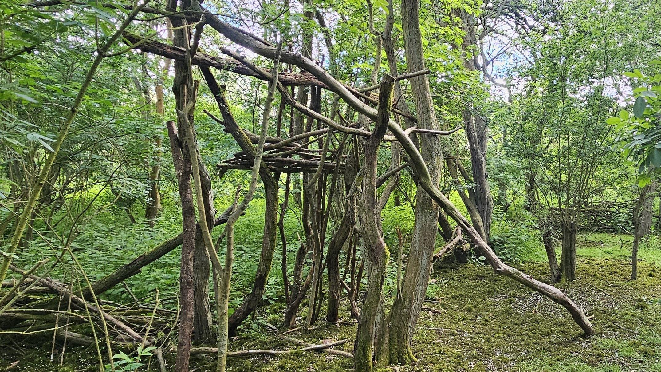 Nature reserve warns visitors not to build dens - AOL