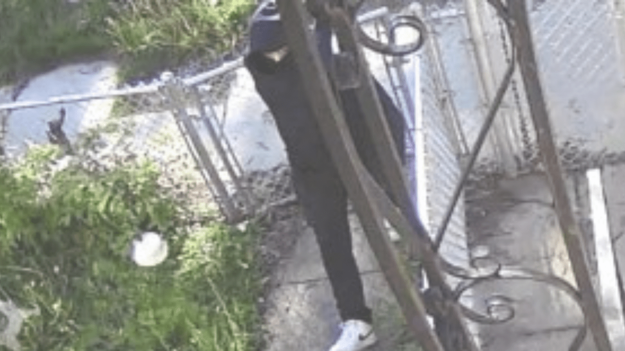 Police search for armed suspect in fatal Far South Side shooting - AOL