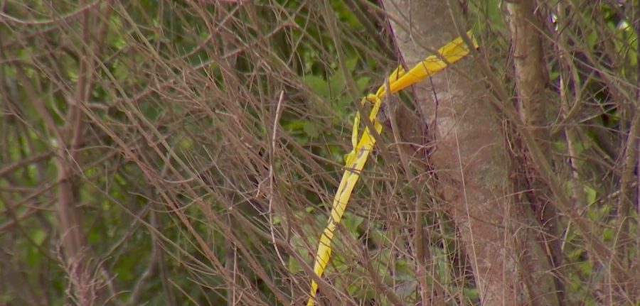 ‘He was a light’: Teen killed, 2 injured in Anderson Co. crash - AOL
