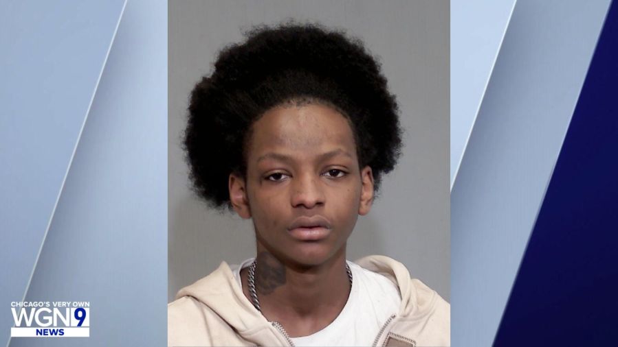 Teen faces murder charges in deadly Joliet stabbing - AOL