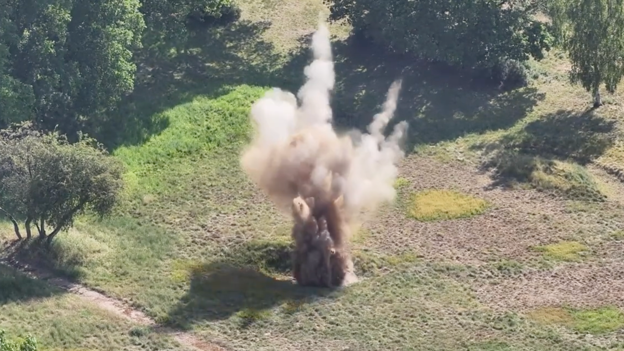 I invited guests to play with a bomb in my garden - AOL