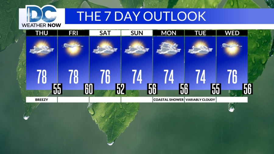 Spotty storms expected Wednesday PM - AOL