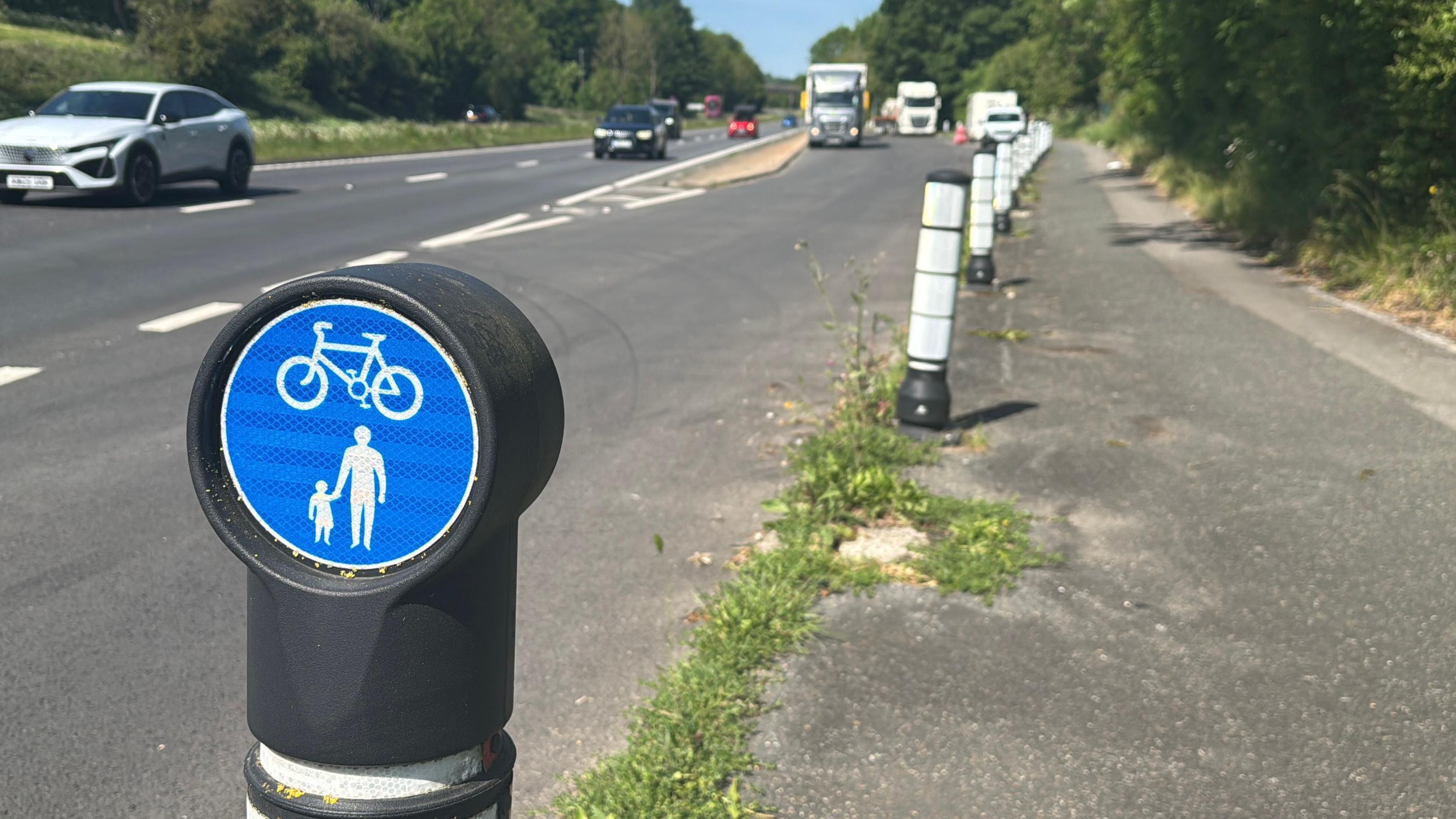 Cyclists urge upgrades to 'dangerous' A27 cycle path - AOL