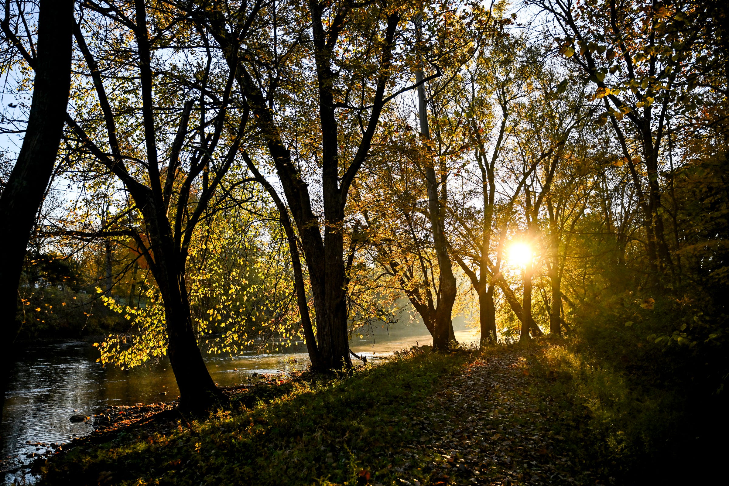 Warm, sunny weather should make for great weekend ahead in Michigan - AOL