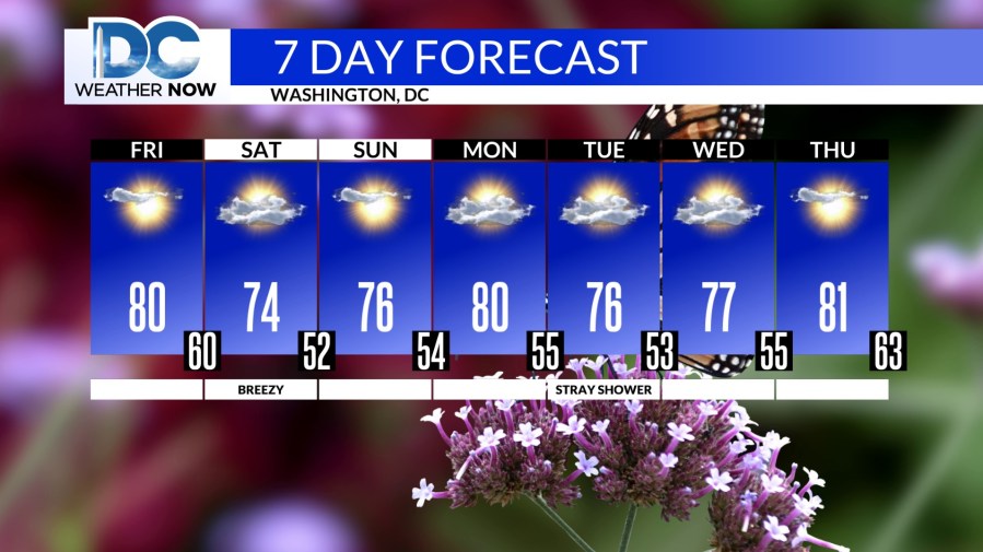 Sunny & warm end to the work week - AOL