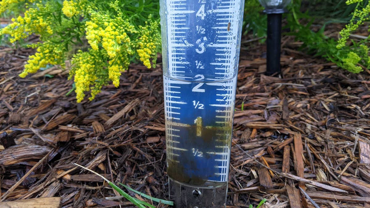 How much rain fell during Sunday's surprise burst? And will it help ...