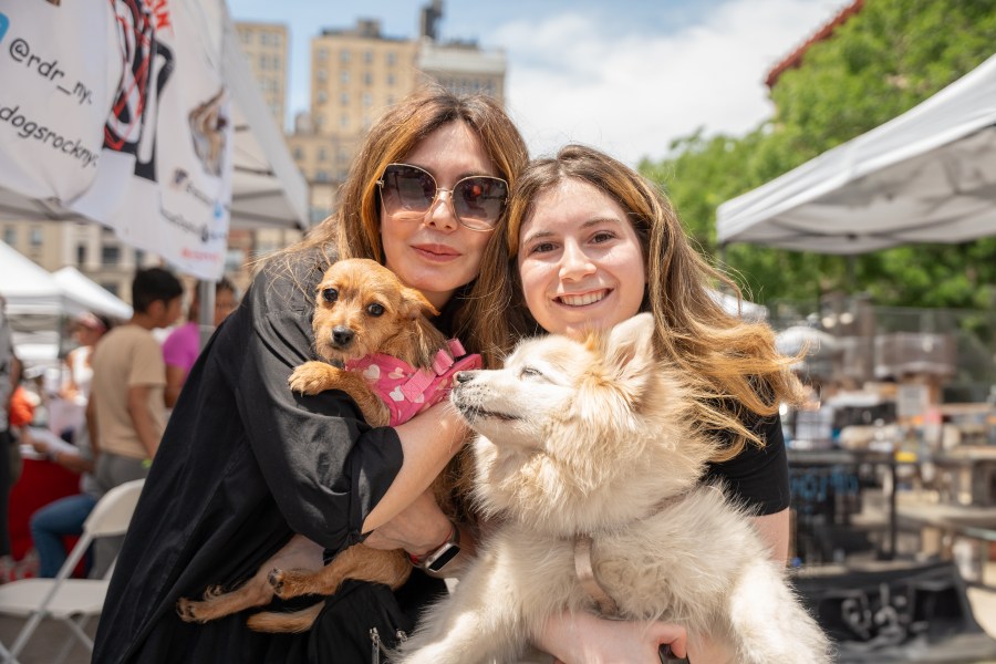 Petco Love’s Adoption Block Party in NYC: Meet your new best friend - AOL