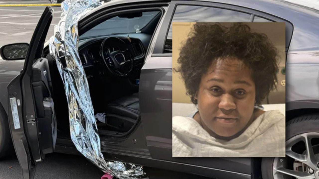 Florida mom accused of leaving child, 3, in hot car released on bond - AOL