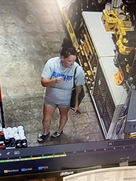 Elk City PD seeks to identify two in theft investigation - AOL