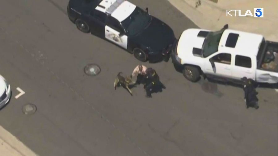 K-9 officer takes down carjacking suspect after wild SoCal chase - AOL