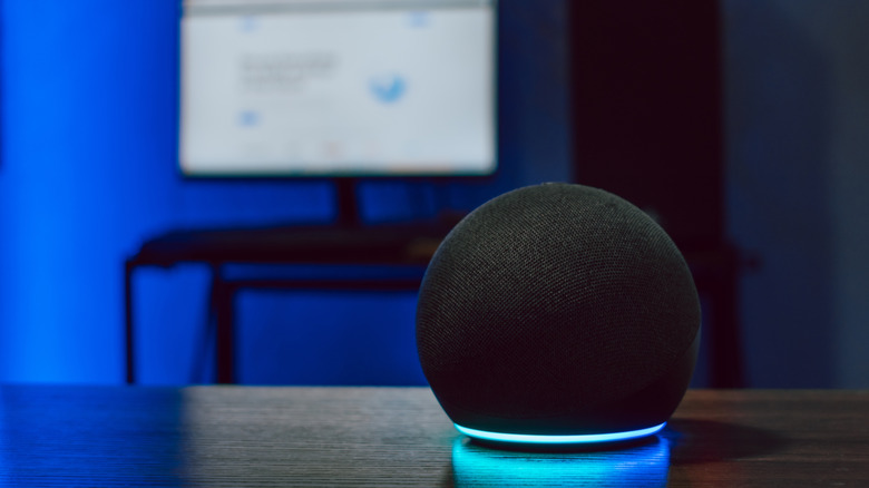 Alexa Examples List 8 Amazon Alexa Gadgets Actually Worth Buying In 2026 - AOL