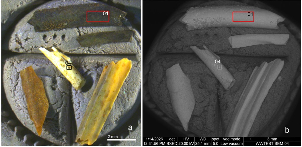 Humans may have discovered fire hundreds of thousands of years before ...