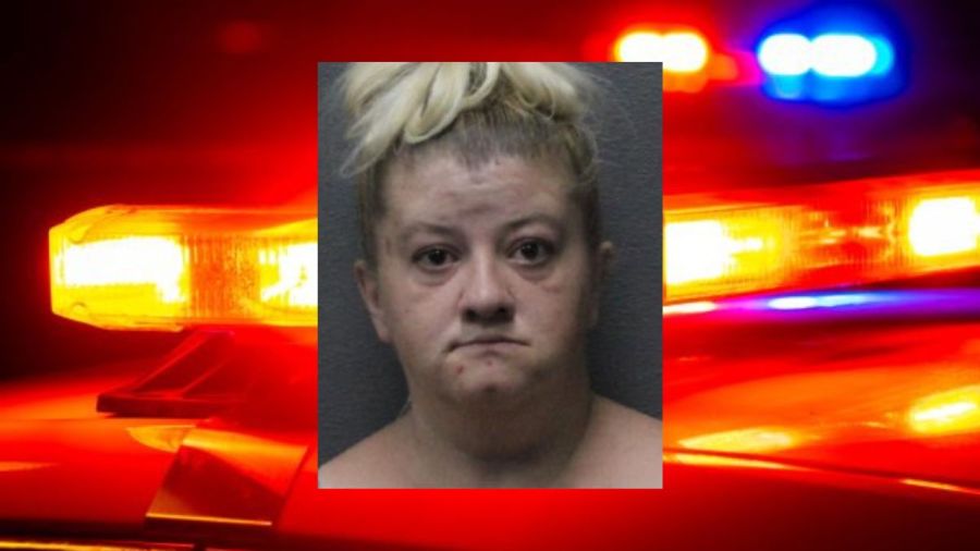 Police: Bath woman arrested after violating order of protection - AOL
