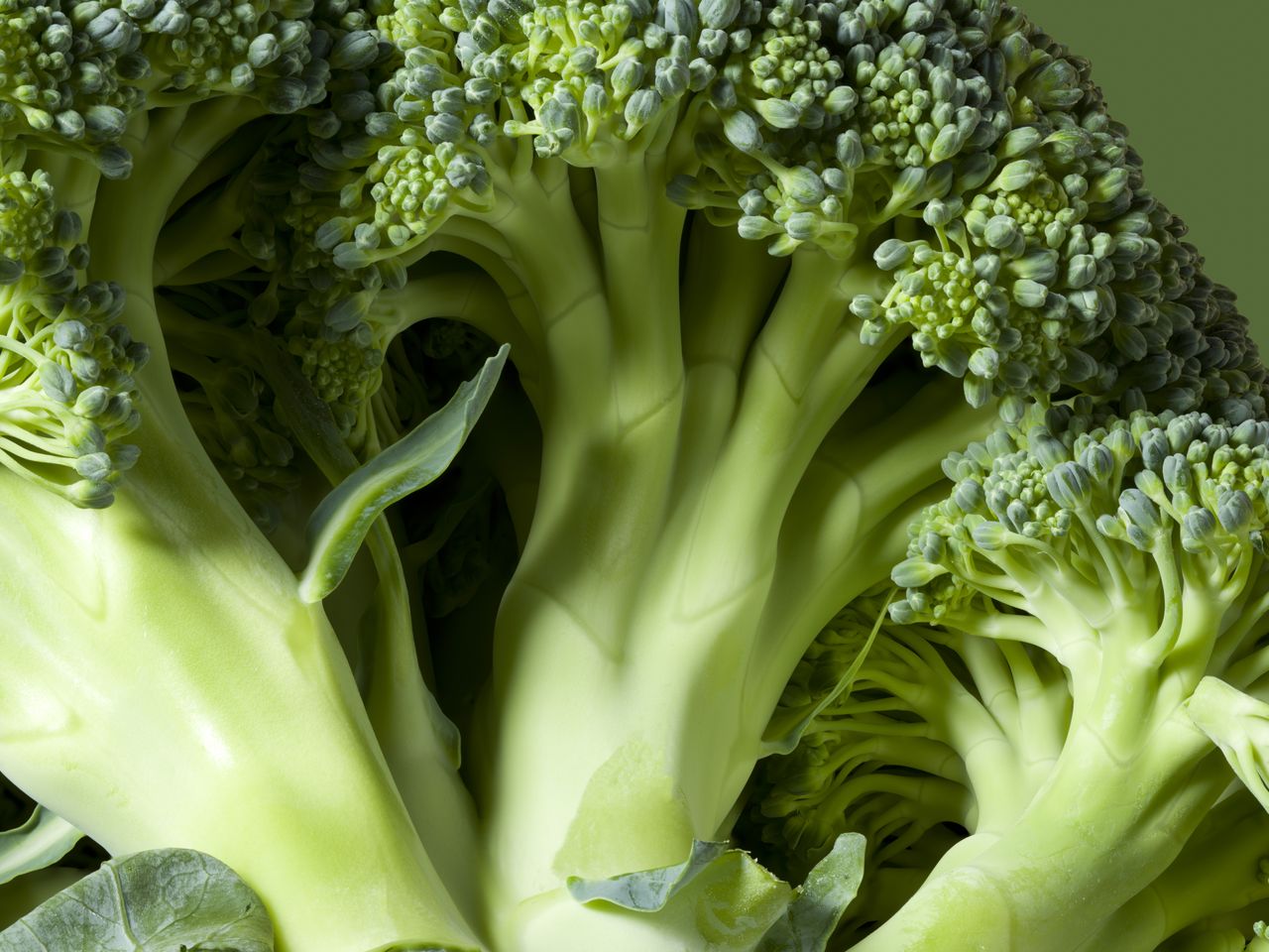 6 Vegetables That Are Better for You Raw, According to Dietitians - AOL