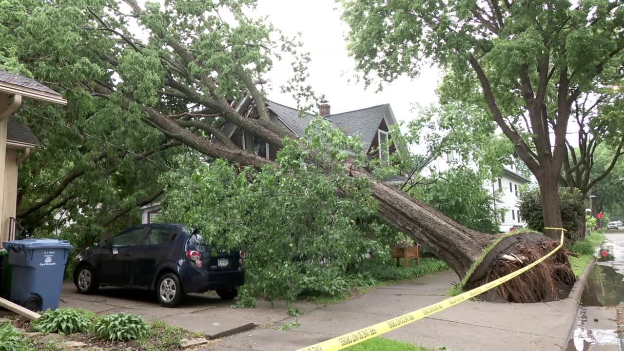 MN weather: Overnight storms topple trees, cause damage across ...