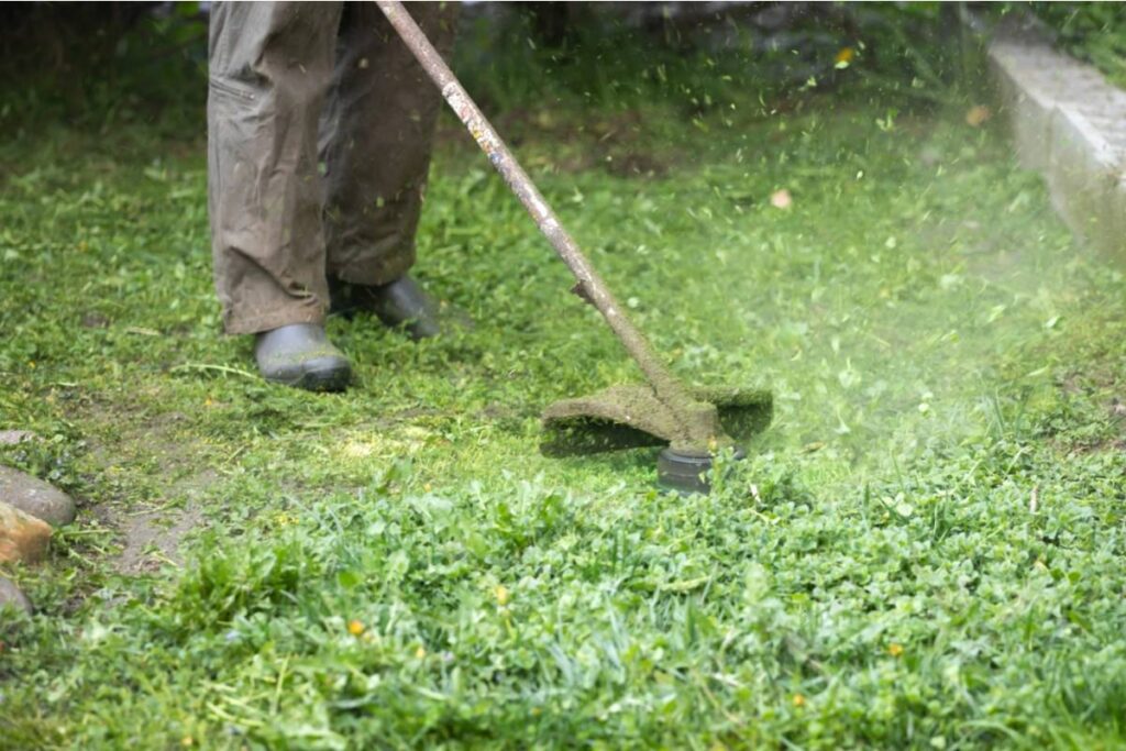 Weekend Rotting Homeowner Says His Neighbor Keeps Blowing Grass Clippings Into His ...