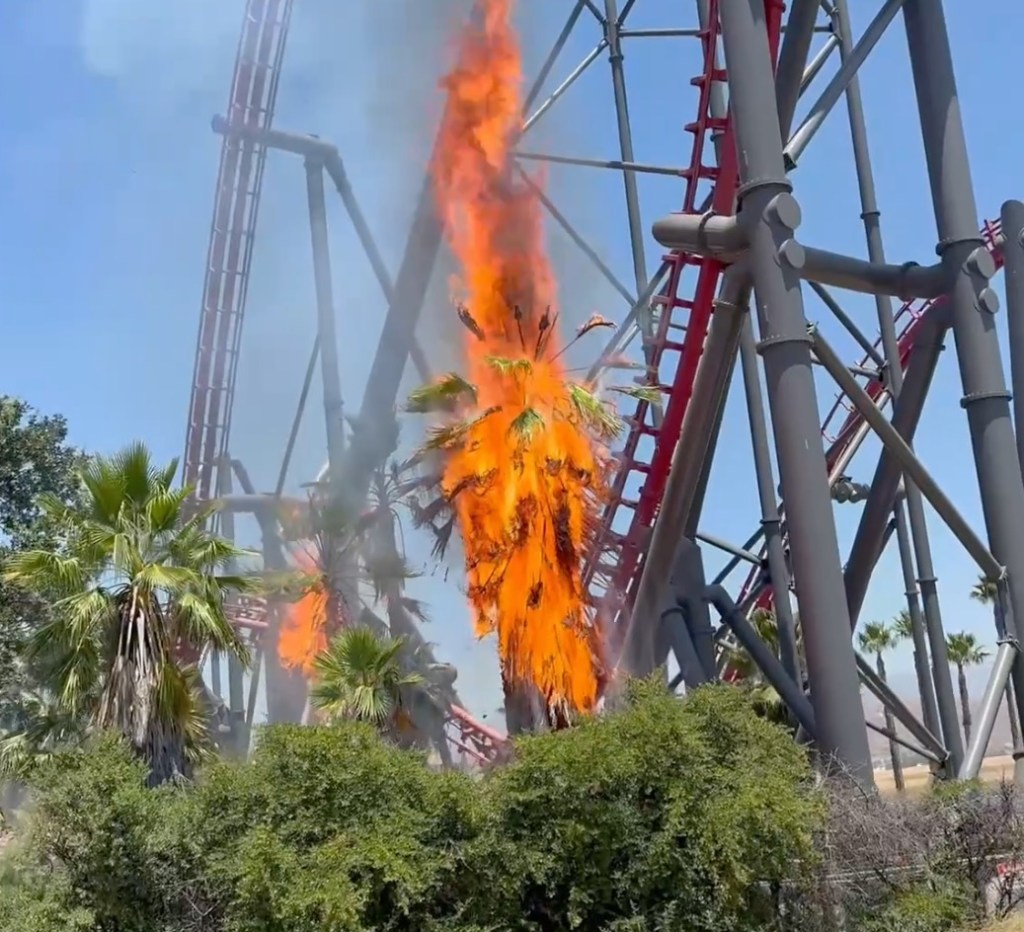 Fire breaks out under Six Flags Magic Mountain roller coaster - AOL