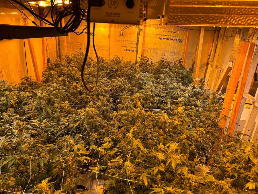12 arrested, 30 lbs of cocaine seized in gang-related drug bust ...