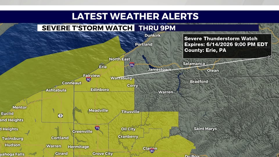 Severe Thunderstorm Watch has been issued - AOL