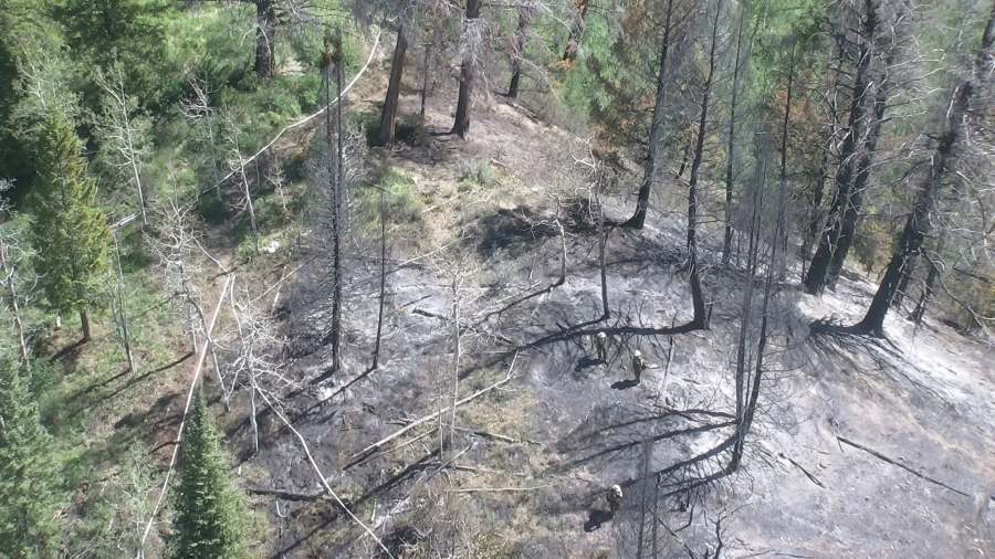 Spring Creek Fire delays opening of several National Forest Service ...