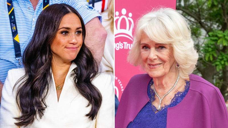 The Duchess analyzed the specific philanthropic causes Camilla championed.Mega
