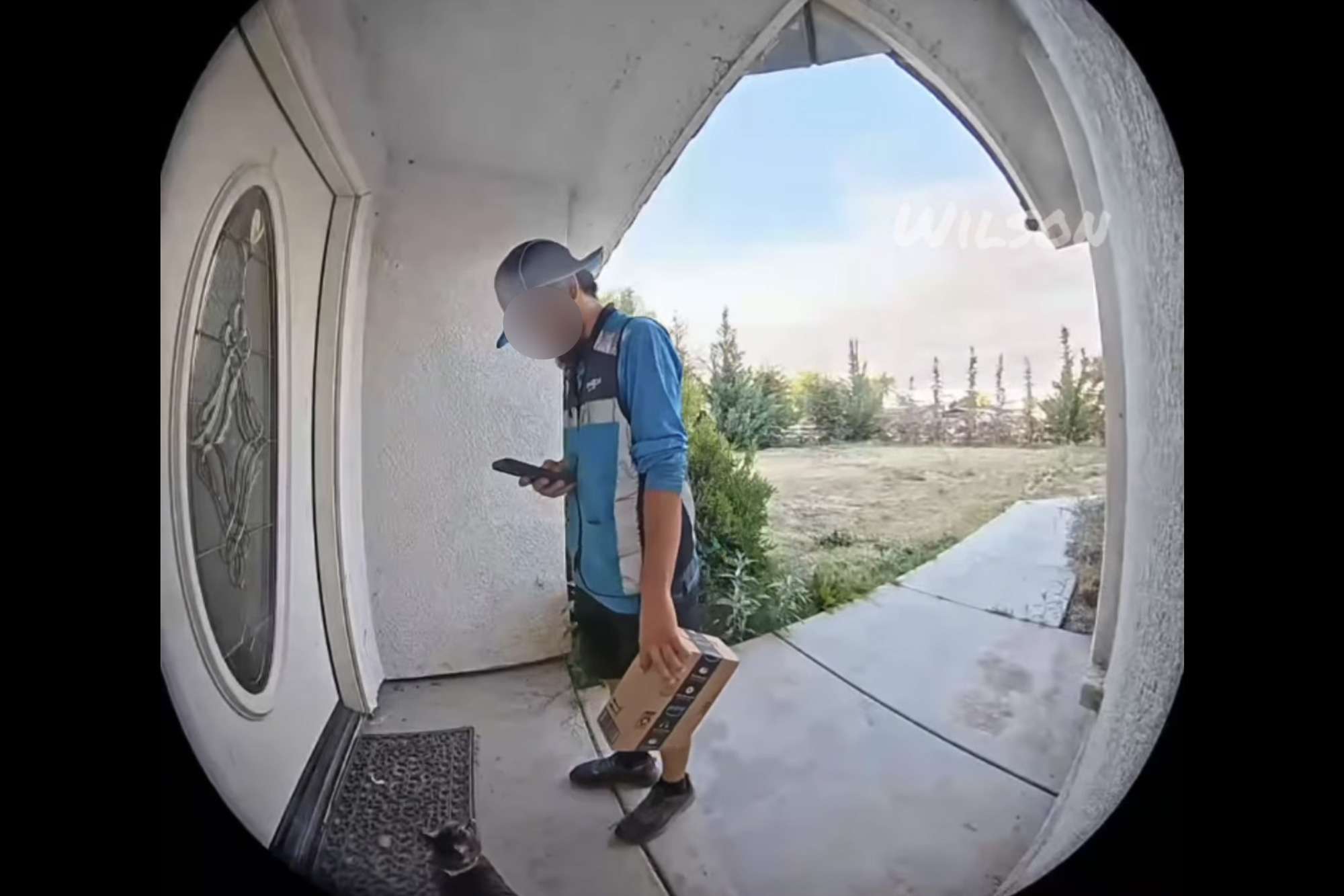 Amazon Driver Seen on Camera Taking Cat from Home Now Insists the ...