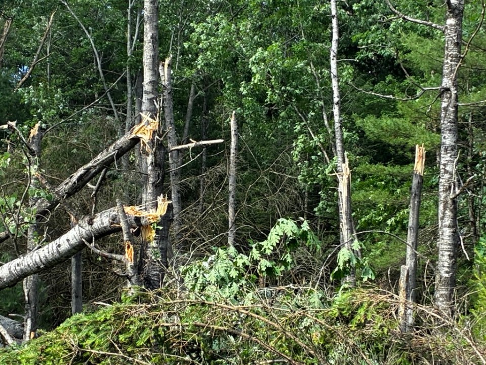 PHOTOS: EF-1 tornado confirmed in Centre County following weekend storm ...