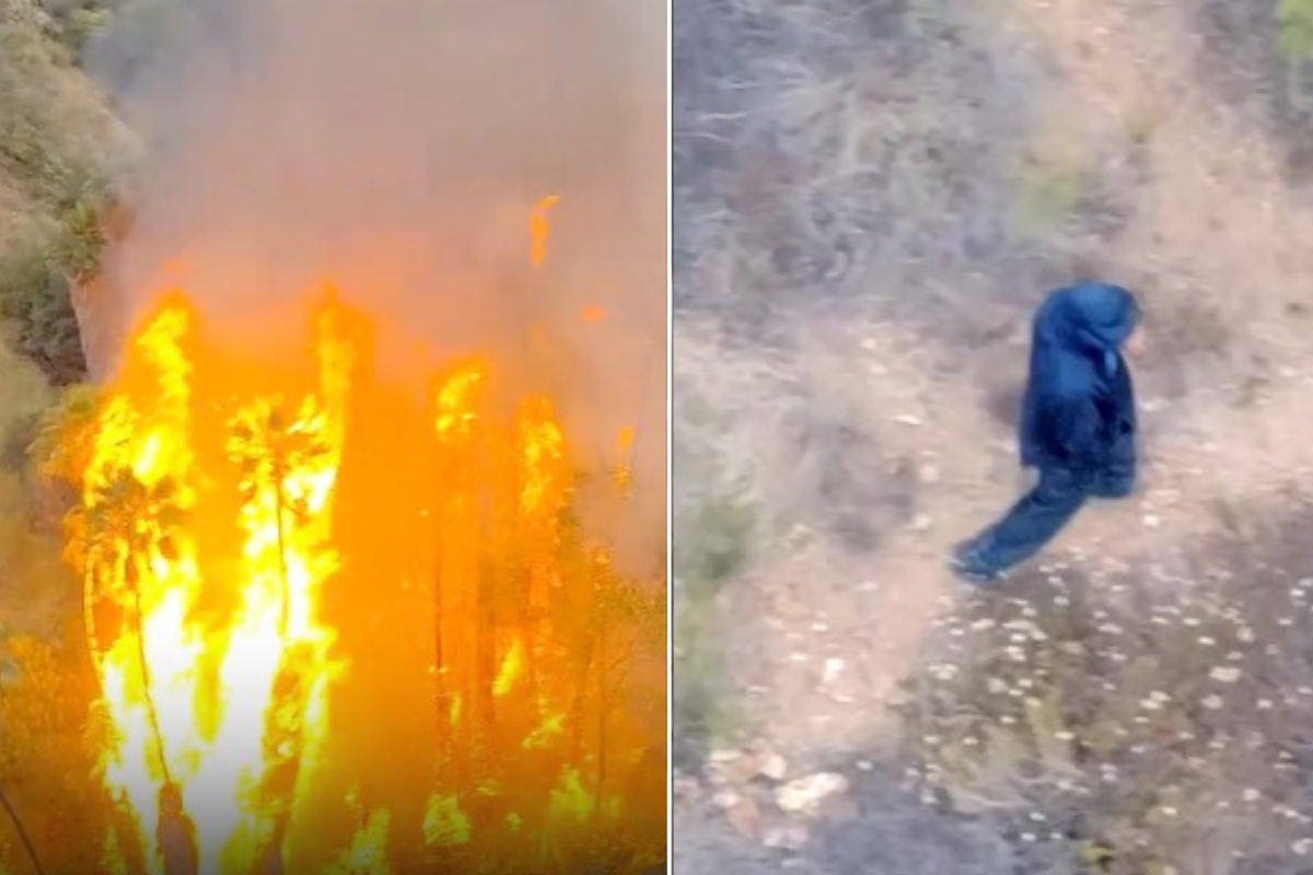Arson suspect tracked by drone and arrested after starting wildfire in ...